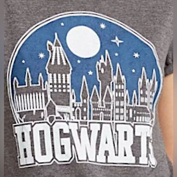 NWT Harry Potter Teens/Women’s Gray Short Sleeve e Graphic Tee Hogwarts - Size M - Picture 3 of 7